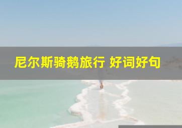 尼尔斯骑鹅旅行 好词好句